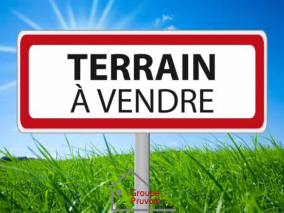Joli terrain plat